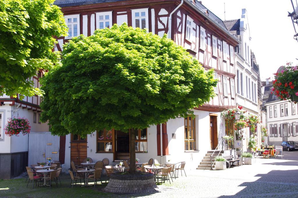 Ferienwohnung Erhol Dich Gut Диц Экстерьер фото